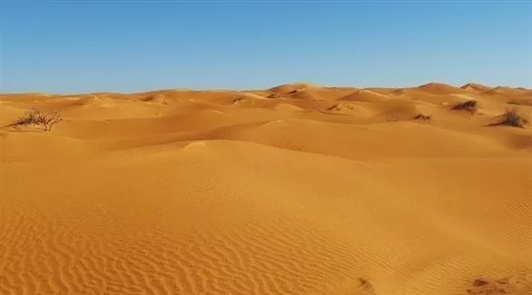 مدار الساعة,أخبار خفيفة ومنوعة