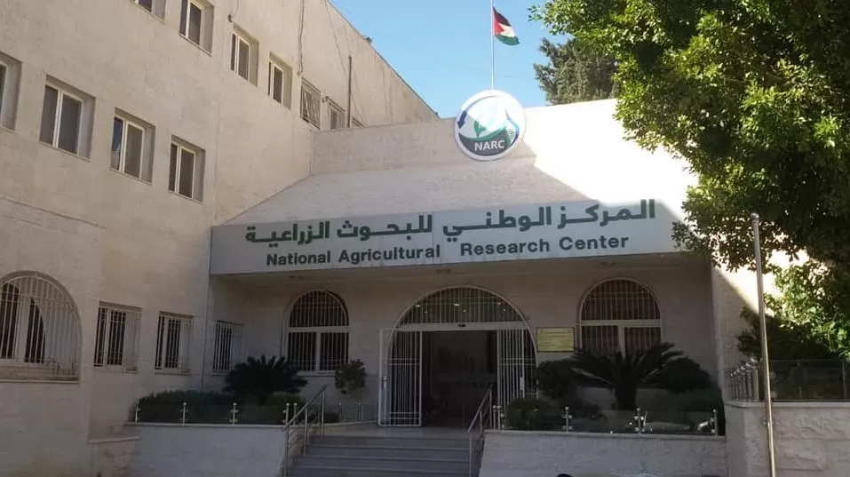 مدار الساعة,أخبار الأردن,اخبار الاردن,المركز الوطني للبحوث الزراعية
