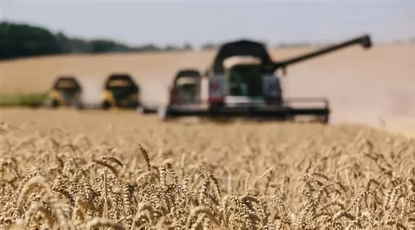 مدار الساعة,أخبار اقتصادية,وزير الزراعة,وزارة الزراعة