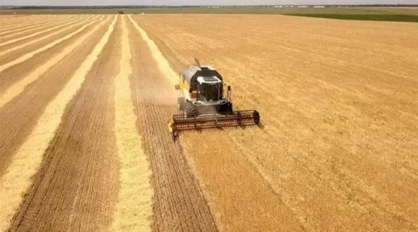 مدار الساعة,أخبار اقتصادية,وزارة الزراعة