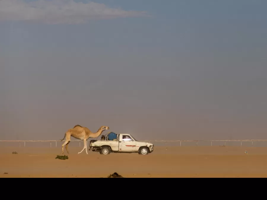مدار الساعة,أخبار خفيفة ومنوعة