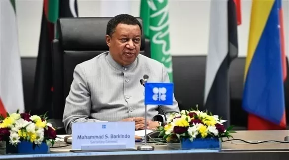 مدار الساعة,أخبار اقتصادية,نائب رئيس الوزراء,رئيس الوزراء,أوبك