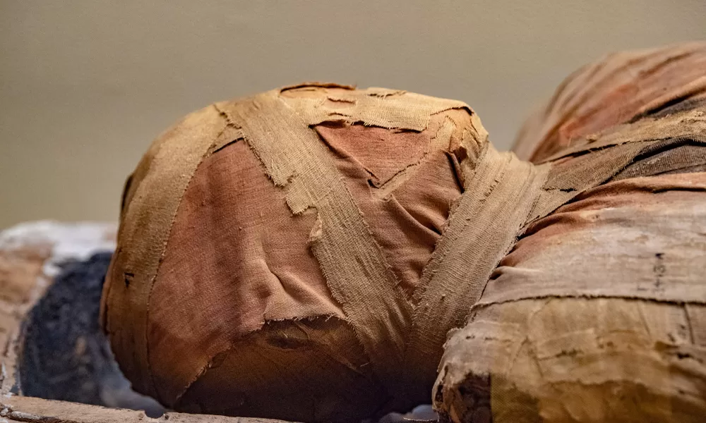 مدار الساعة,أخبار ثقافية