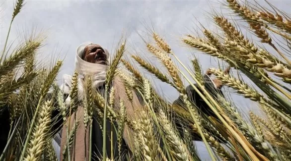 مدار الساعة,أخبار اقتصادية,وزارة المالية,الأمم المتحدة