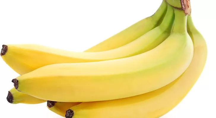 مدار الساعة,أخبار اقتصادية,وزارة الزراعة