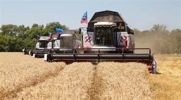 مدار الساعة,أخبار اقتصادية,وزارة الزراعة