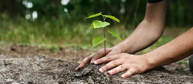 مدار الساعة,أخبار اقتصادية,وزارة الزراعة