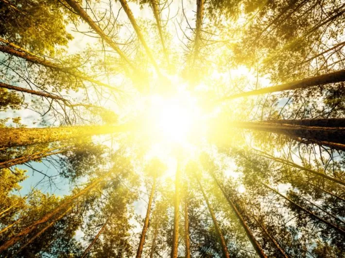 مدار الساعة,أخبار الأردن,اخبار الاردن,درجات الحرارة,البحر الميت