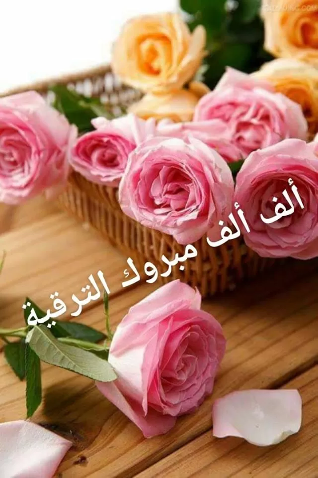 مدار الساعة,أخبار المجتمع الأردني,الجامعة الألمانية الأردنية