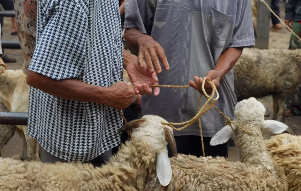 مدار الساعة,أخبار الأردن,اخبار الاردن,شؤون دينية,دائرة الإفتاء العام