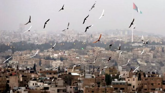 مدار الساعة,أخبار الأردن,اخبار الاردن,درجات الحرارة,البحر الميت