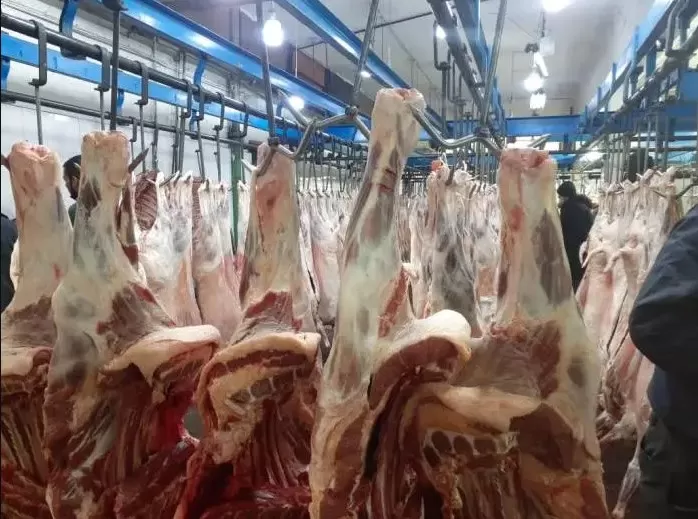 مدار الساعة,أخبار الأردن,اخبار الاردن,أمانة عمان