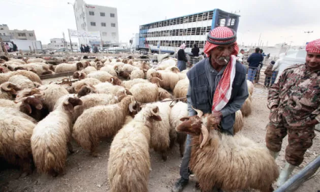 مدار الساعة,الطقس في الأردن اليوم,طقس الأردن,طقس العرب,طقس العرب الاردن,عيد الأضحى,درجات الحرارة,البحر الميت