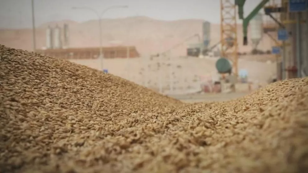 مدار الساعة,أخبار اقتصادية,وزارة الصناعة والتجارة,وزارة الصناعة