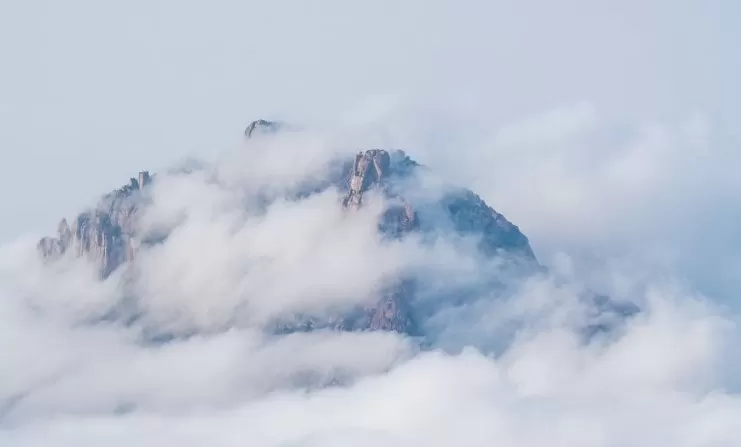 مدار الساعة,أخبار خفيفة ومنوعة,المملكة العربية السعودية