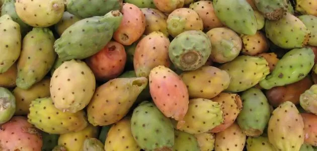 مدار الساعة,أخبار اقتصادية