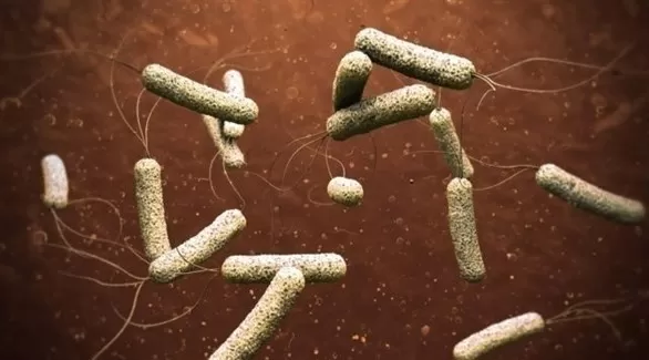مدار الساعة,أخبار خفيفة ومنوعة,كورونا