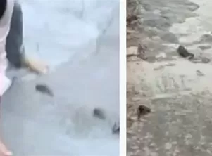 مدار الساعة,أخبار خفيفة ومنوعة