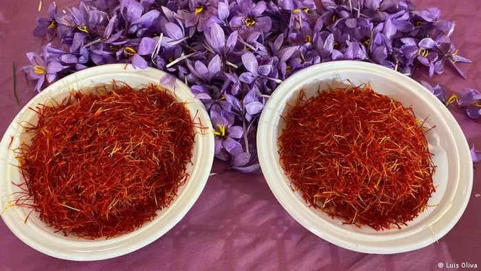 مدار الساعة,أخبار الأسرة