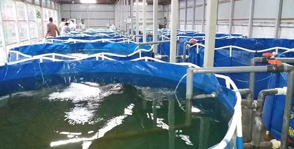 مدار الساعة,أخبار الأردن,اخبار الاردن,وزير الزراعة,وزارة الزراعة