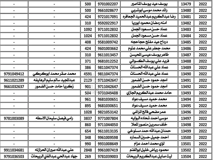 مدار الساعة,أخبار الأردن,اخبار الاردن,وزارة المالية