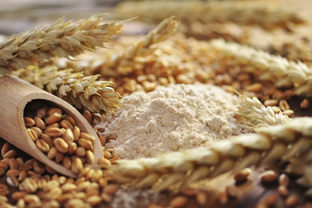 مدار الساعة,أخبار اقتصادية,وزارة الصناعة والتجارة,وزارة الصناعة