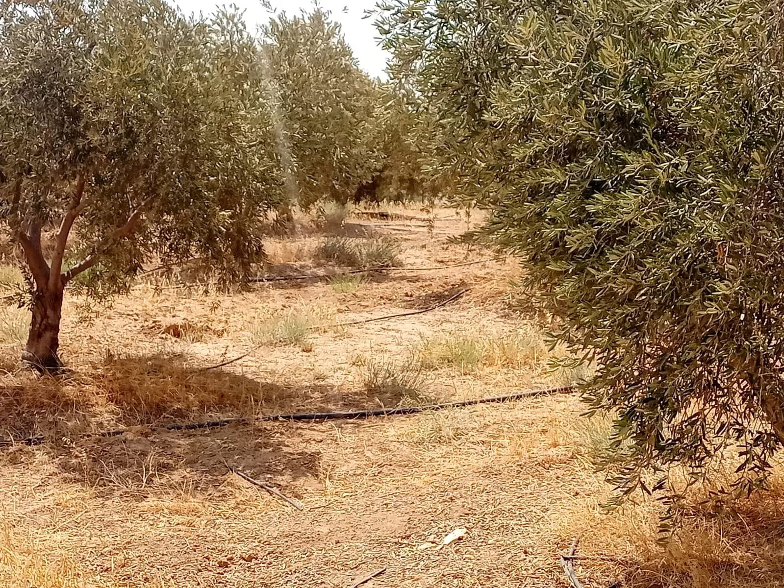 مدار الساعة,أخبار الأردن,اخبار الاردن,وزارة المياه والري,سلطة المياه,وزارة المياه