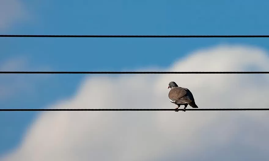 مدار الساعة,أخبار الأردن,اخبار الاردن,الاتحاد الأوروبي,شركة توزيع الكهرباء