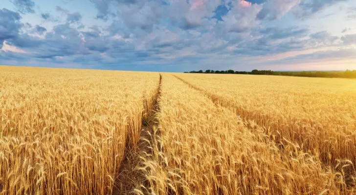 مدار الساعة,أخبار اقتصادية,وزارة الصناعة والتجارة,وزارة الصناعة