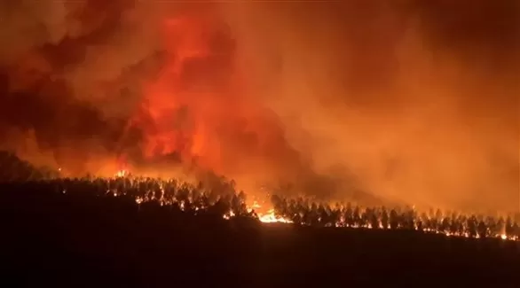 مدار الساعة,أخبار خفيفة ومنوعة