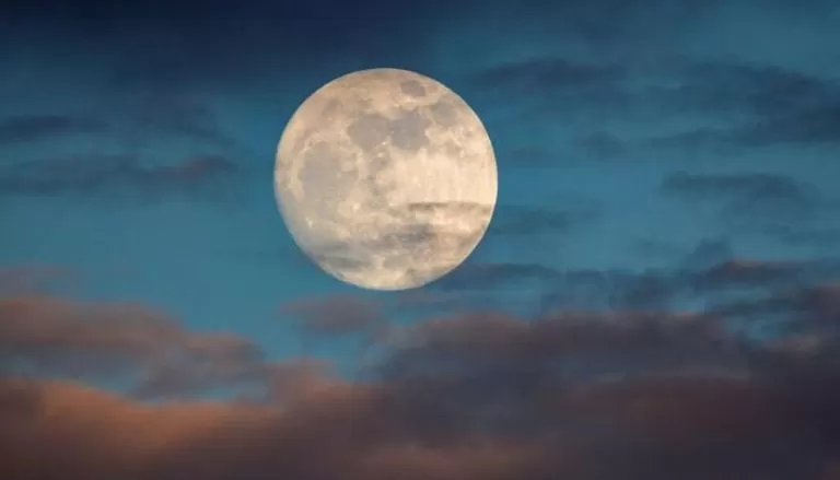 مدار الساعة,أخبار خفيفة ومنوعة