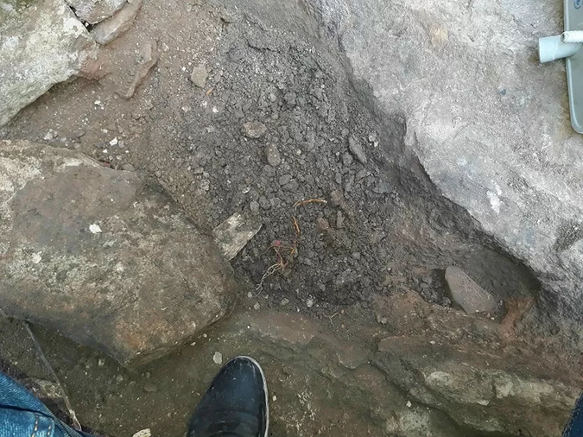 مدار الساعة,أخبار الأردن,اخبار الاردن,محكمة التمييز