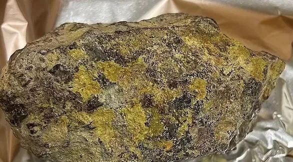 مدار الساعة,أخبار خفيفة ومنوعة,وزارة الطاقة