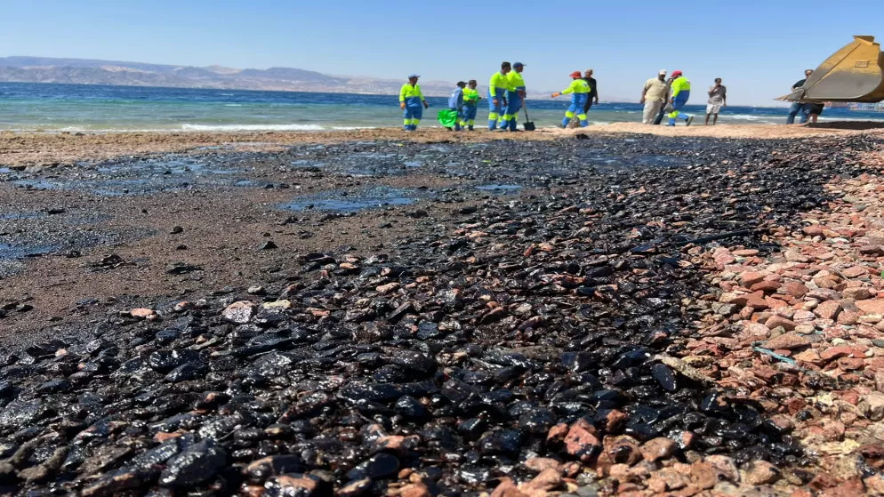 مدار الساعة,أخبار الأردن,اخبار الاردن,سلطة منطقة العقبة الاقتصادية الخاصة