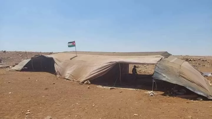 مدار الساعة,أخبار الأردن,اخبار الاردن,وزير التنمية الاجتماعية,التنمية الاجتماعية