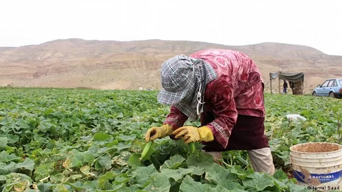 مدار الساعة,أخبار اقتصادية,رئيس الوزراء
