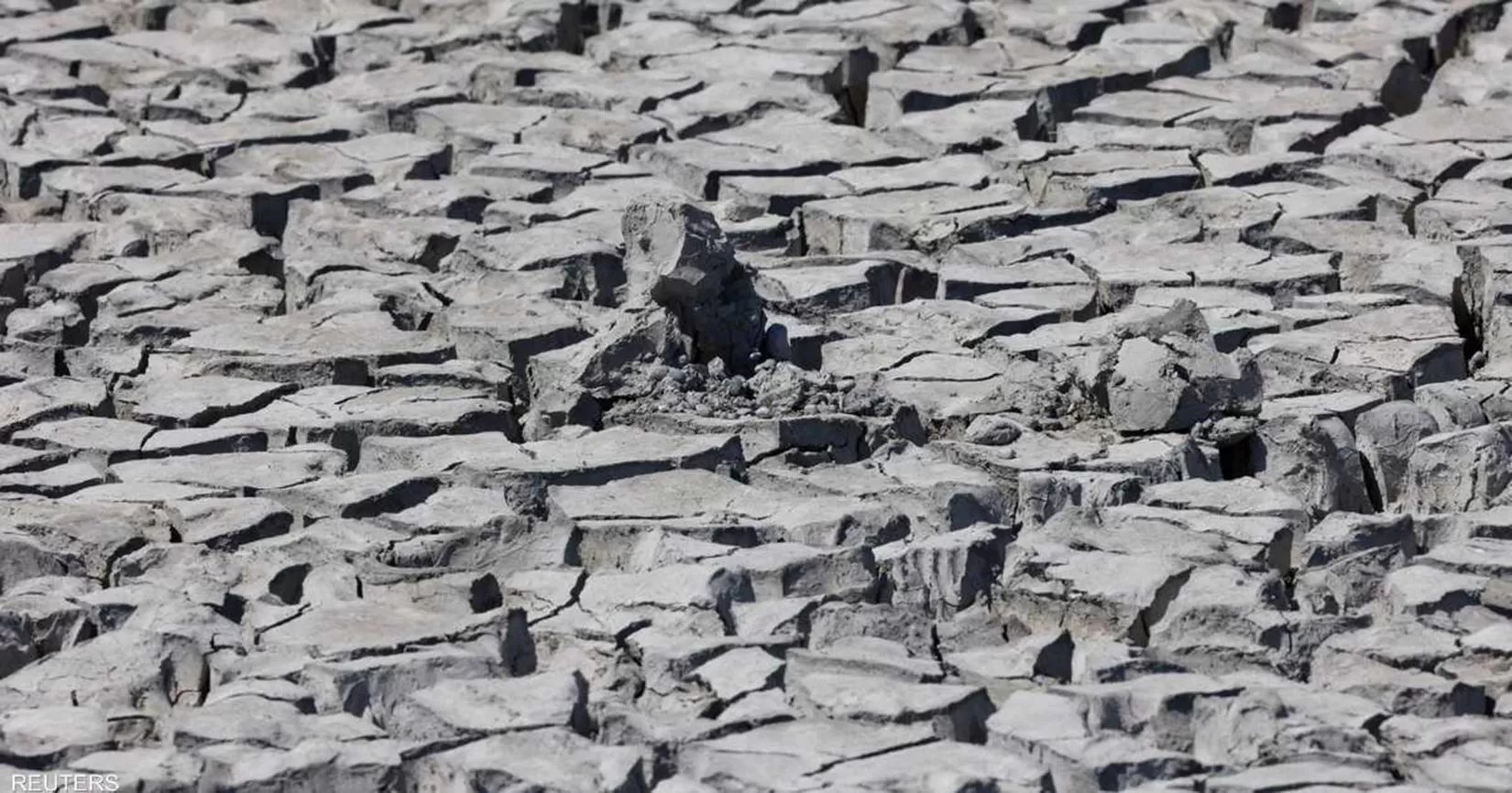 مدار الساعة,أخبار خفيفة ومنوعة