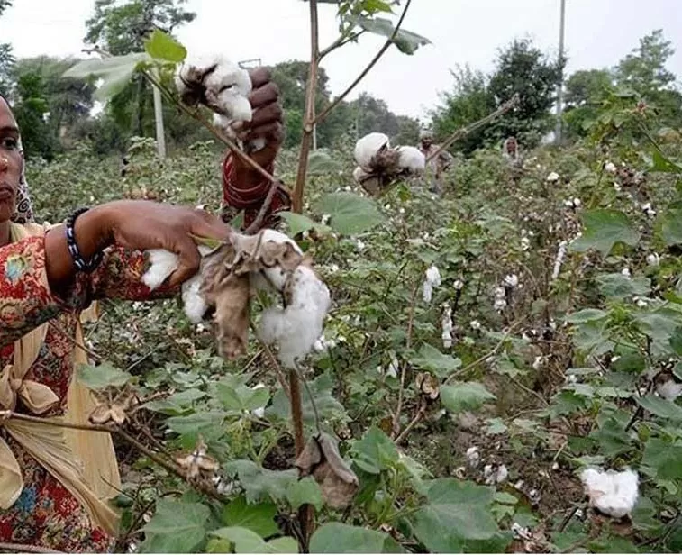 مدار الساعة,أخبار اقتصادية