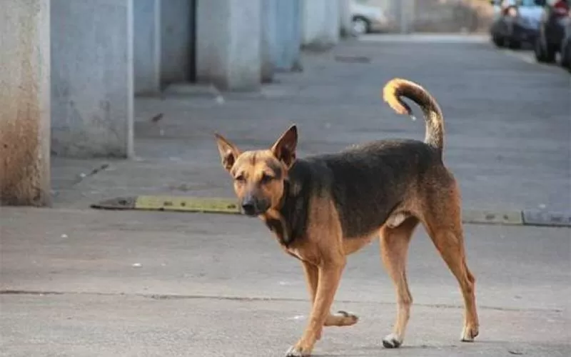 مدار الساعة,أخبار خفيفة ومنوعة