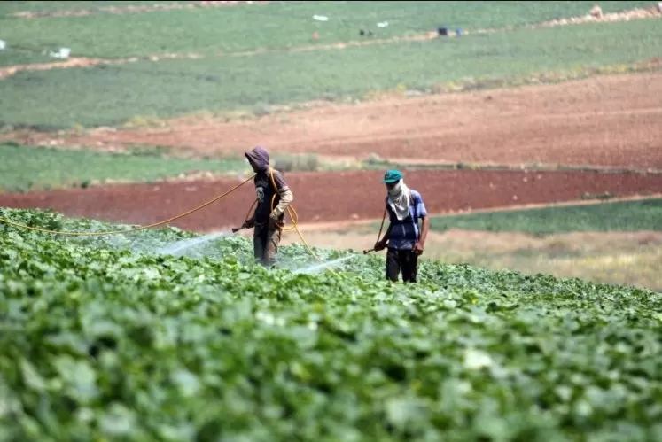 مدار الساعة,أخبار اقتصادية,درجات الحرارة