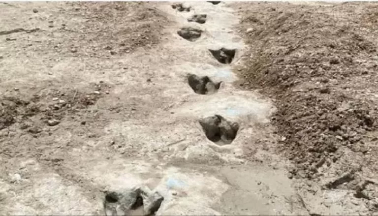 مدار الساعة,أخبار ثقافية