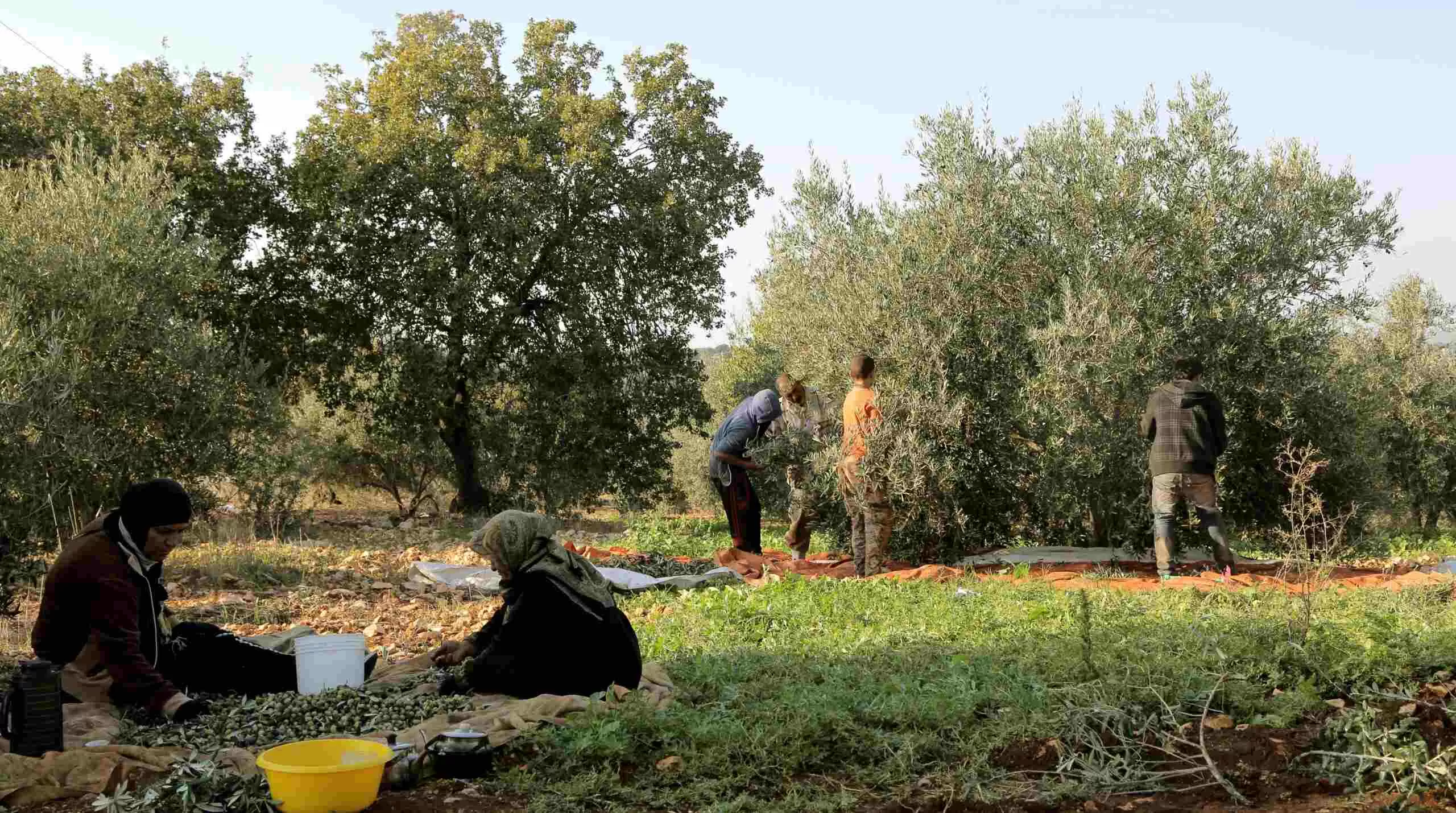مدار الساعة,أخبار الأردن,اخبار الاردن
