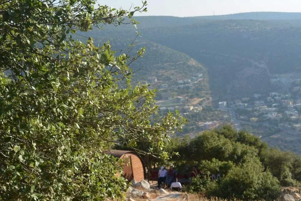 مدار الساعة,أخبار الأردن,اخبار الاردن,كلية عجلون الجامعية