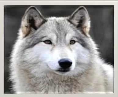 مدار الساعة,أخبار الأردن,اخبار الاردن