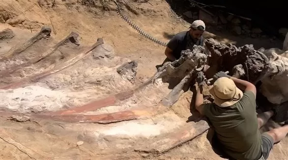 مدار الساعة,أخبار خفيفة ومنوعة