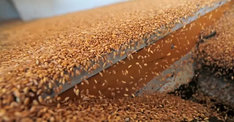 مدار الساعة,أخبار اقتصادية,كورونا