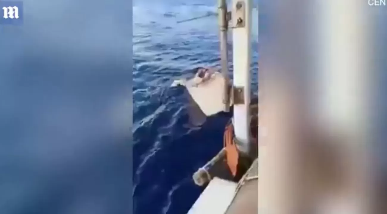 مدار الساعة,أخبار خفيفة ومنوعة