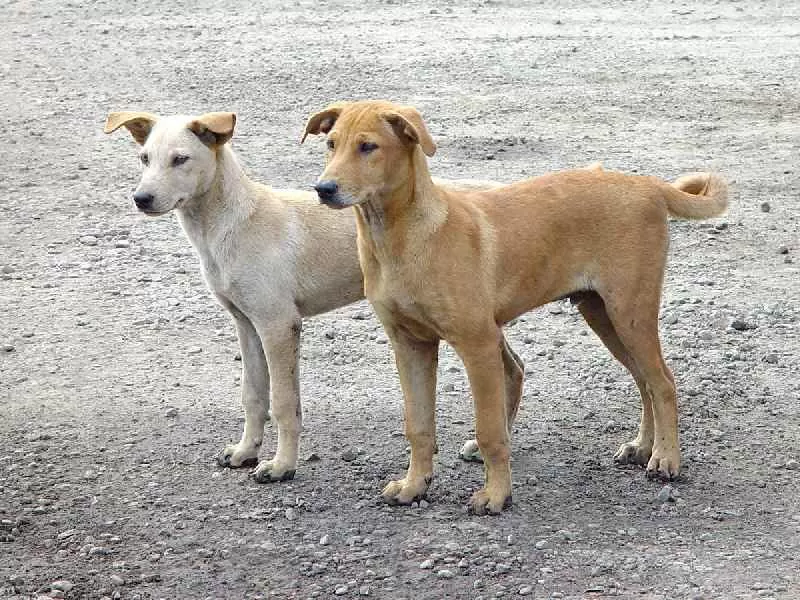 مدار الساعة,أخبار الأردن,اخبار الاردن,وزارة الإدارة المحلية,مستشفى الأمير زيد بن الحسين