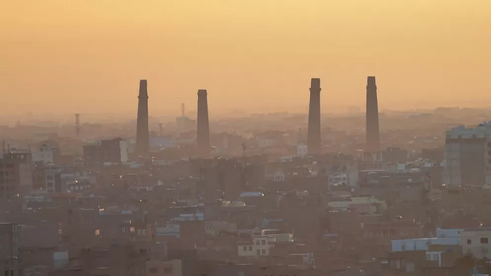 مدار الساعة,أخبار الأردن,اخبار الاردن,وزارة الخارجية وشؤون المغتربين,وزارة الخارجية