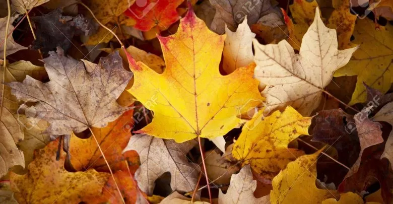 مدار الساعة,أخبار الأردن,اخبار الاردن